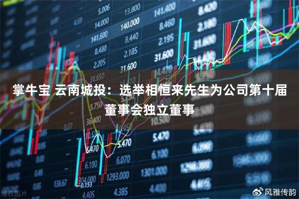 掌牛宝 云南城投：选举相恒来先生为公司第十届董事会独立董事
