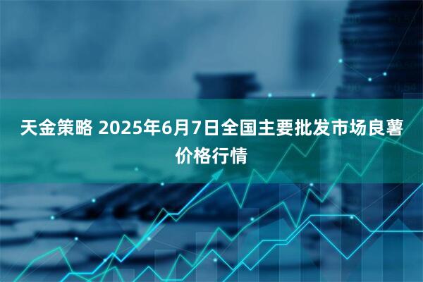 天金策略 2025年6月7日全国主要批发市场良薯价格行情