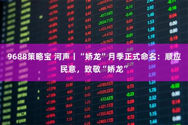 9688策略宝 河声丨“娇龙”月季正式命名：顺应民意，致敬“娇龙”