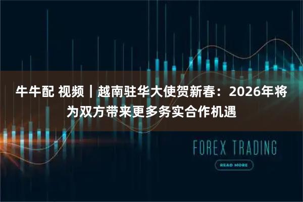 牛牛配 视频｜越南驻华大使贺新春：2026年将为双方带来更多务实合作机遇