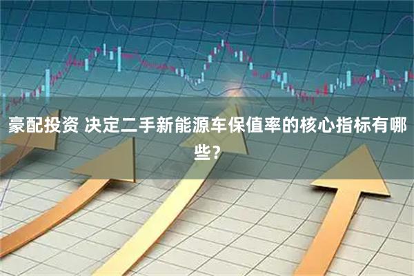 豪配投资 决定二手新能源车保值率的核心指标有哪些？